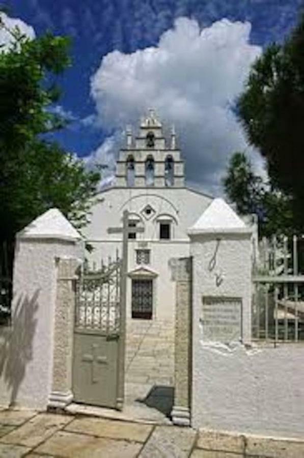 Independent Agapitos Apart , 2Bdrm, Private Patio Naxos City Eksteriør bilde