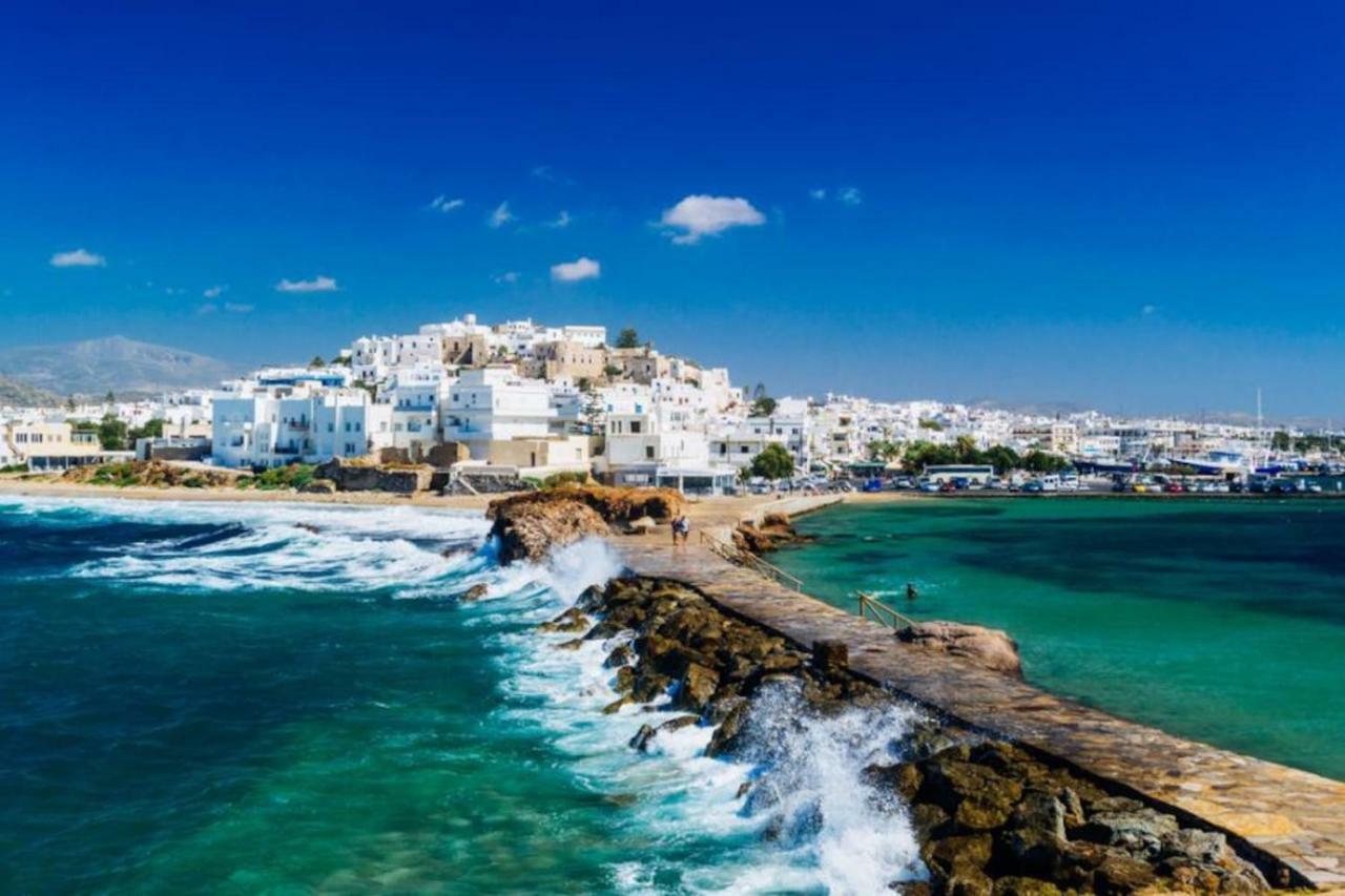Independent Agapitos Apart , 2Bdrm, Private Patio Naxos City Eksteriør bilde